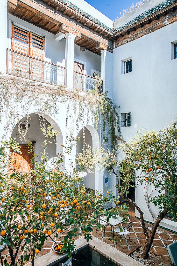Facade of building with arches and balcony near terrace with decorative pool and tangerine trees